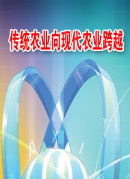 ͳũҵִũҵԽ