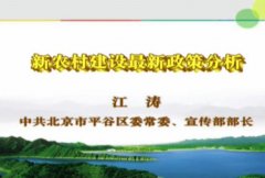 ũ彨߷