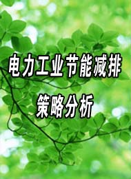 广东省电力生产继续教育专业课:电力工业节能减排策略分析