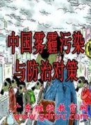 《中国雾霾污染与防治对策》