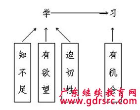 从学习者角度分析学习 培育与教导下属的技巧,各类部属的教导特性分析
