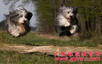 2014年 摄 影 专 业 就 业 前 景 与 就 业 方 向 2014年 摄 影 专 业 就 业 前 景 与 就 业 方 向