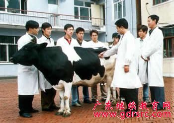 2014年 动 物 医 学 专 业 就 业 前 景 与 就 业 方 向 2014年 动 物 医 学 专 业 就 业 前 景 与 就 业 方 向