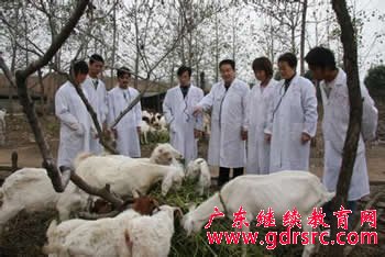 2014年 动 物 医 学 专 业 就 业 前 景 与 就 业 方 向 2014年 动 物 医 学 专 业 就 业 前 景 与 就 业 方 向