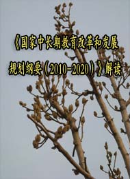 гڽĸͷչ滮Ҫ2010-2020
