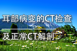 㶫ʡҽеҽҩרҵΡCT鼰CTʡ