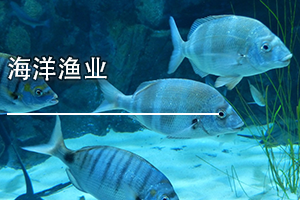 㶫ʡҵרҵΡҵ