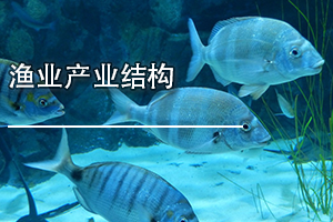 㶫ʡҵרҵΡҵҵṹ